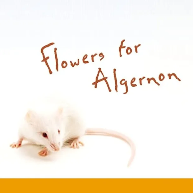 Flowers for Algernon