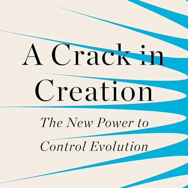 A Crack in Creation